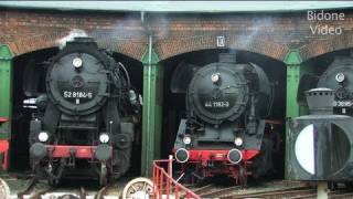 EisenbahnFest Staßfurt 12  Steam Train  Züge [upl. by Russo]