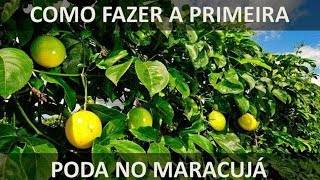 1° PODA DO MARACUJÁ  TENHA MAIS FRUTOS COM ESSA DICA [upl. by Jemima]