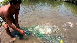 Mira este PESCADOR Experto PESCA Tilapias Gigantes con Red en Laguna [upl. by Bruce890]