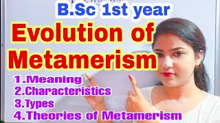 METAMERISM  Evolution of Metamerism  Segmentation in Biology [upl. by Ewald]