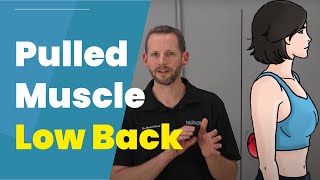 Pulled Muscle In Low Back 3 DIY Treatments [upl. by Eerehs]