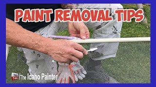 Cleaning Window Screens Paint REMOVAL Tips [upl. by Amalie38]