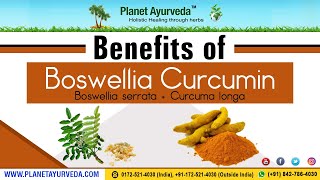 Benefits of Boswellia Boswellia serrata  Curcumin Curcuma longa [upl. by Geffner]