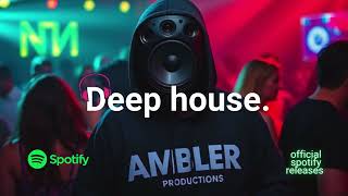 Vibey Deep House Mix 2025 Spotify Official Tunes [upl. by Ardnuasac437]