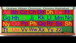 Oromo Alphabet LearningQubee Afaan Oromoo Baratiisa [upl. by Aiuqenehs]