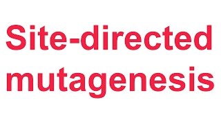 Tutorial 4 QuikChange sitedirected mutagenesis Stratagene [upl. by Atinet]