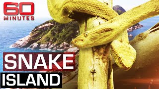 The deadliest place on earth Snake Island  60 Minutes Australia [upl. by Glantz]