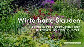 15 winterharte Stauden  inklusive Pflanz und Pflegetipps [upl. by Clarise]