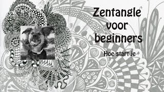 Zentangle voor beginners hoe start je [upl. by Mcfadden970]