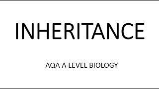 INHERITANCE  AQA A LEVEL BIOLOGY  EXAM QUESTIONS RUN THROUGH [upl. by Adis]