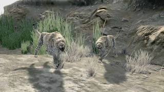 Cabelas Dangerous Hunts 2011 Special Edition  Chapter 8 quotRhino Huntquot [upl. by Belvia]