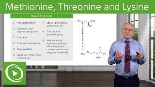 Methionine Threonine and Lysine Metabolism – Biochemistry  Lecturio [upl. by Itida]