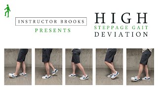 What is a High Steppage Gait [upl. by Myranda597]