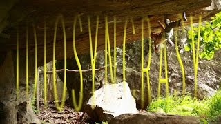 Idiosyncrasy Arkansas Bouldering [upl. by Assened]