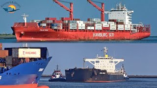 SHIPSPOTTING Port of ROTTERDAM September 2021 [upl. by Beau679]