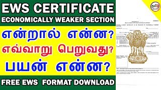 EWS CERTIFICATE என்றால் என்ன HOW TO APPLY ECONOMICALLY WEAKER SECTION CERTIFICATE  TAMIL BRAINS [upl. by Care466]