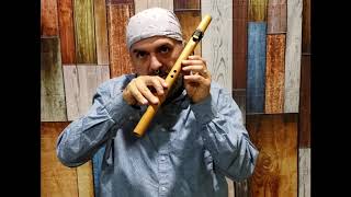 How to Play the Native American Flute in under 10 minutes EASY Lesson 1 [upl. by Raama383]