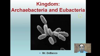 Kingdom Archaebacteria and Eubacteria [upl. by Eilram]