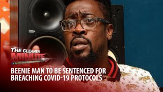 THE GLEANER MINUTE Beenie Man to be sentenced  PNP officials lose Trafigura appeal  Radio war [upl. by Romilly301]