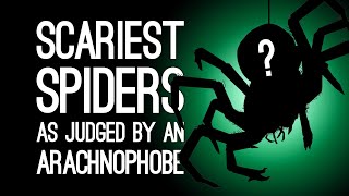 Worst Spiders In Games Ranked By An Arachnophobe  Commenter Edition [upl. by Sesilu]