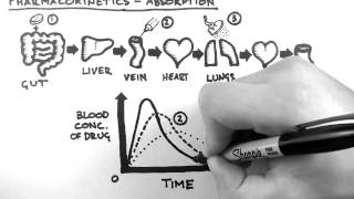 Pharmacokinetics 2  Absorption [upl. by Cecil]