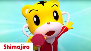 Doctor Shimajiro Is Here To Help 🩺 NEW 3D Episodes  Kids videos for kids  Shimajiro [upl. by Nohpets]