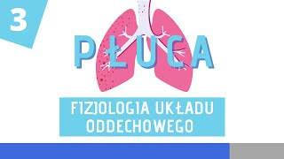 Fizjologia układu oddechowego cz 3  Regulacja oddychania [upl. by Anastase624]