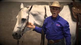 How to Bridle a Horse Western [upl. by Volding]