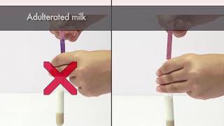 Testing Milk adulteration with Urea  FSSAI [upl. by Eldrida100]