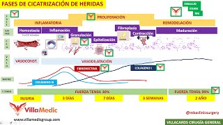 FASES DE LA CICATRIZACIÓN DE HERIDAS BY mbaclinicsurgery [upl. by Goar]