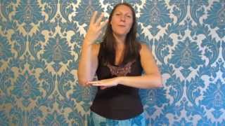 Rainbow song  British Sign Language BSL and singing [upl. by Case277]