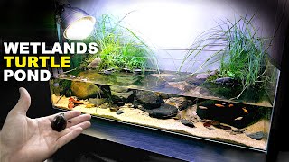 Aquascape Tutorial Turtle Aquarium  Vivarium  Paludarium how to step by step planted tank guide [upl. by Hannus]