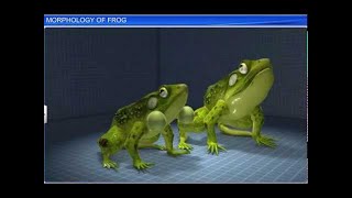 CBSE Class 11 Biology  Morphology of Frog  By Shiksha House [upl. by Kathryne]