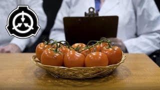 The Foundation SCP 504  Critical Tomatoes [upl. by Sadnalor]