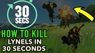 How to Beat a Lynel in 30 Seconds or Less in Zelda Breath of The Wild [upl. by Anerev21]