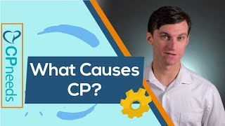 What Causes Cerebral Palsy 7 Risk Factors [upl. by Ardnu]