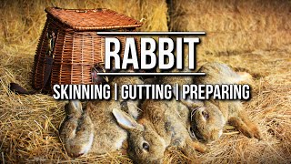 How to skin a Rabbit  TA Outdoors [upl. by Ahsema]