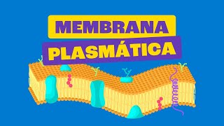 Membrana Plasmática  Toda Matéria [upl. by Gordie313]