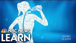 Get Healthy Hydration  NBC News Learn [upl. by Yug]