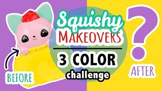 Squishy Makeover 3 Color Challenge [upl. by Eillam355]