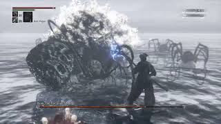 Bloodborne  Rom the Vacuous Spider [upl. by Erich]