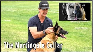 The Martingale Collar  Dog Training Equiptment [upl. by Eiser953]