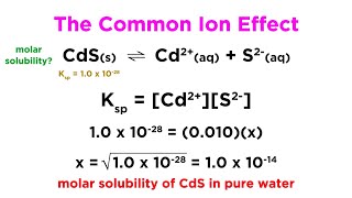 The Common Ion Effect [upl. by Leeanne]