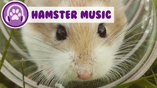 Music for hamsters Chill out your hamster [upl. by Swayder]