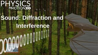 Sound Diffraction and Interference  Physics in Motion [upl. by Steward]