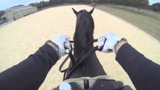 Virtual View How To Hold amp Use Double Bridle Reins [upl. by Crenshaw258]