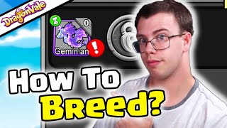 How To Breed Geminian Dragon Dragonvale [upl. by Rofotsirk]