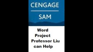 SAM 41 WORD EXAM PROJECT Devon amp Company COMPLETING A CONSULTANT’S REPORT [upl. by Aihtnyc]