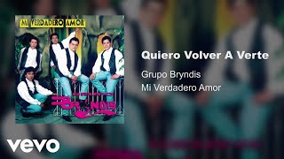 Grupo Bryndis  Quiero Volver A Verte Audio [upl. by Yadsnil]