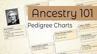 Ancestry 101  Pedigree Charts [upl. by Adnirod]